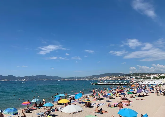 Gray D'albion - Rue D'antibes - 2 Minutes Walk From Beach, Palais Des Festivals, Boulevard De La Croisette - Free Parking Daire