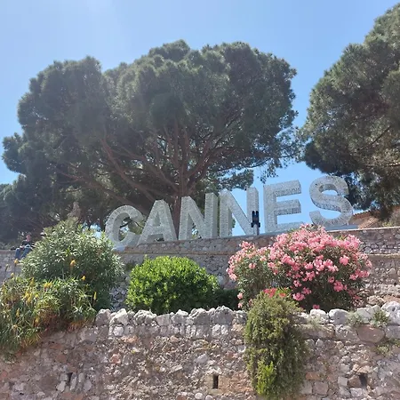 Rue D'antibes - 2 Minutes Walk From Beach, Palais Des Festivals, Boulevard De La Croisette - Free Parking - Gray D'albion * Cannes