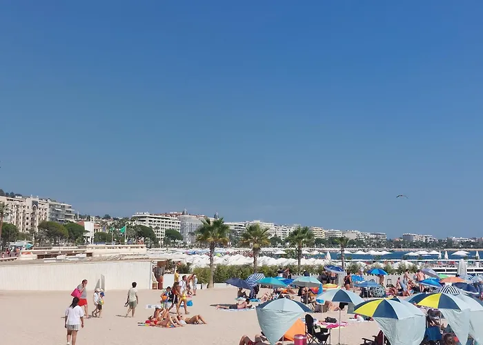 Apartment Gray D'albion - Rue D'antibes - 2 Minutes Walk From Beach, Palais Des Festivals, Boulevard De La Croisette - Free Parking *